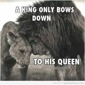 Meet your Posher, Niko